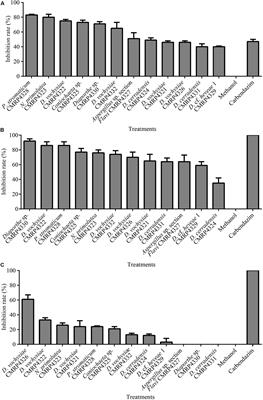 Endophytes of Brazilian Medicinal Plants With Activity Against Phytopathogens